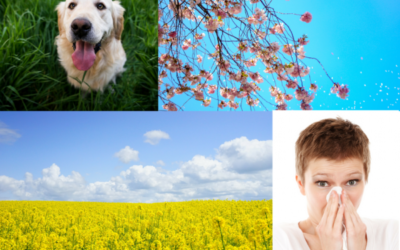 How to Get Relief from Eye Allergies